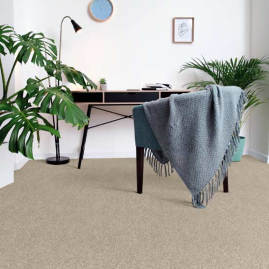 neutral carpet in office