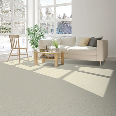 beige carpet in living room