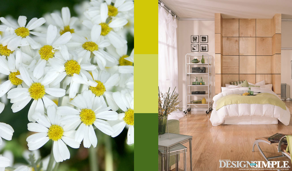 daisy inspired home decor