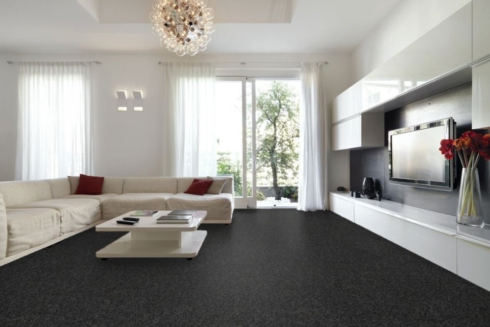black carpet room