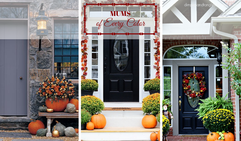 Front Door Ideas for Fall - Mums