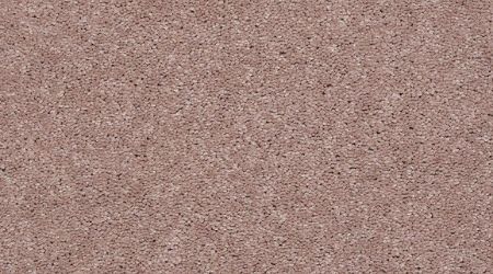 Soft conditions carpet by Carpet One Floor & Home