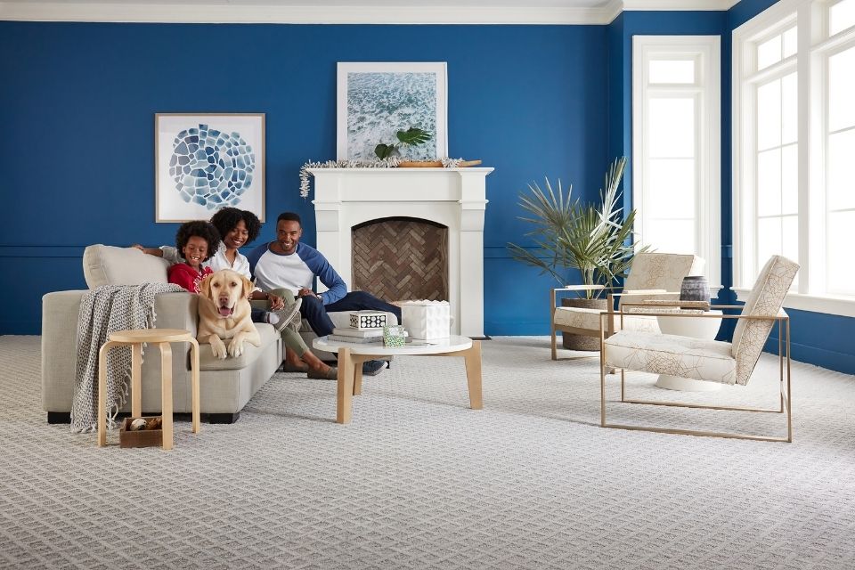 Family friendly carpet for living spaces in room with blue walls 