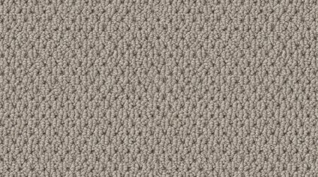 Setting Sail carpet swatch for transitional flooring by Carpet One 