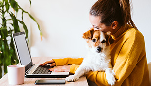 woman hold dog on lap at desk